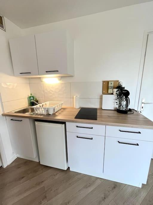 The Jungle Studio, Loggia & Parking Dans Residence Romans-sur-Isere Bagian luar foto