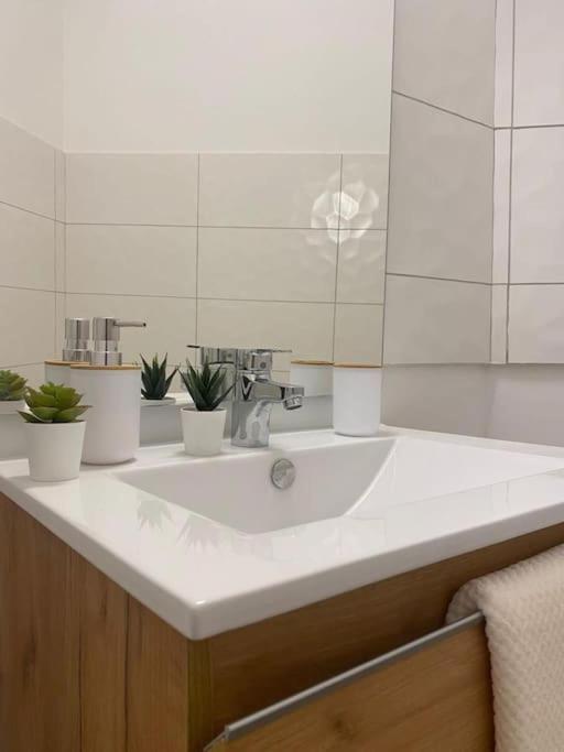 The Jungle Studio, Loggia & Parking Dans Residence Romans-sur-Isere Bagian luar foto
